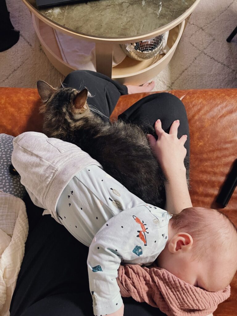 vauva-ja-kissa